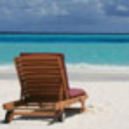 Potbelly Sandwich Shop